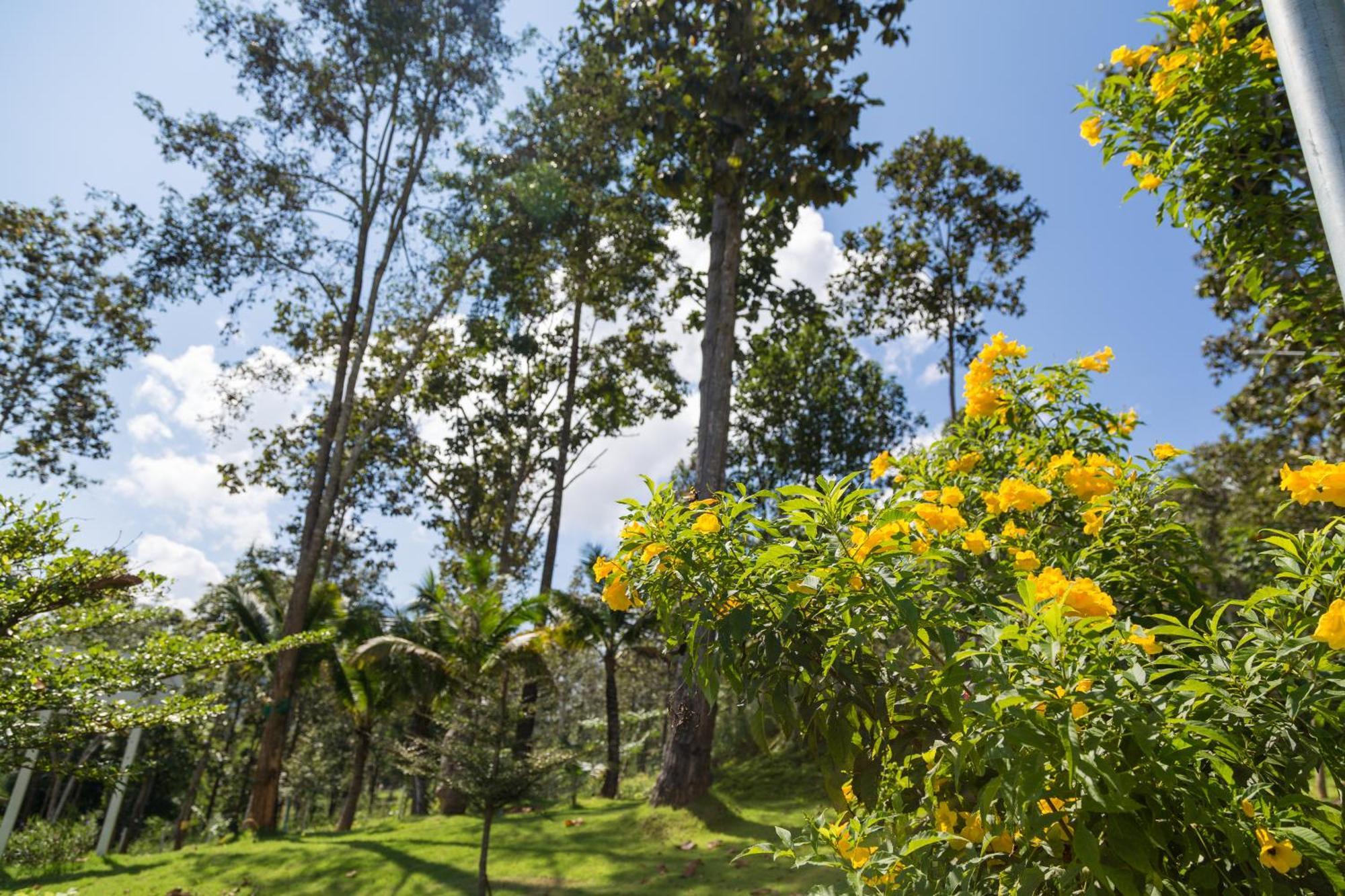 Hotel Phu Pha View Doi Samoeng Exterior foto